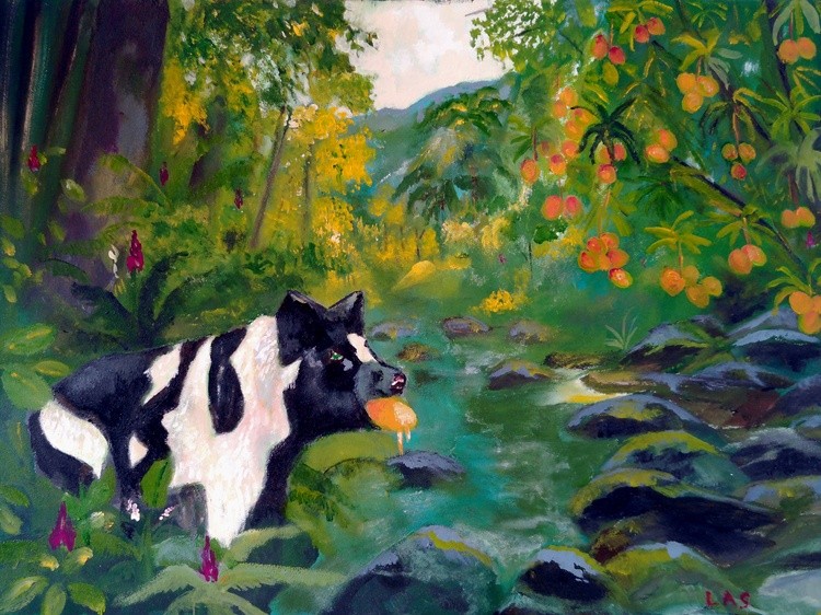 Mango Hunter