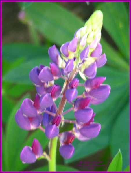 On time ..simple beauty all over...