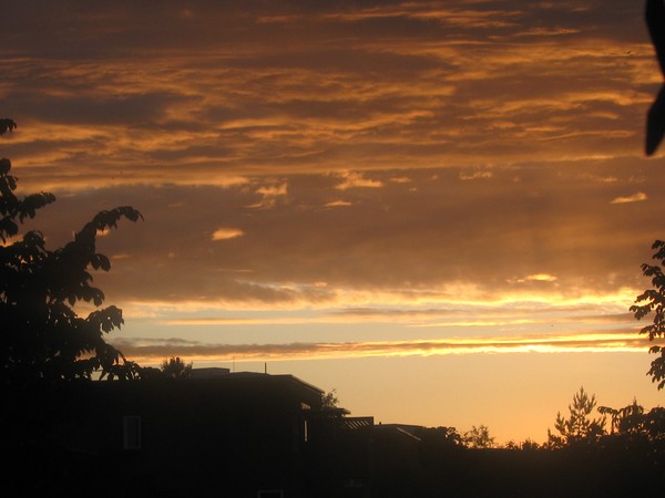 light in the end...