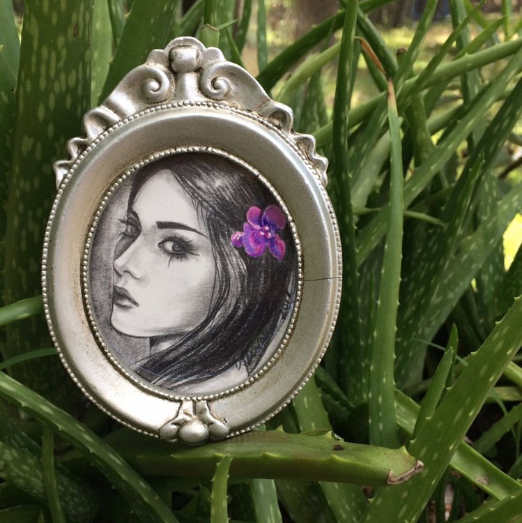 Purple Orchid