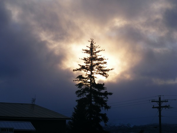 Homer Sky