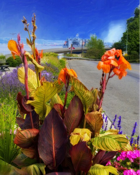 Roadside Flowers