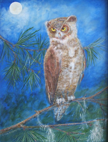 Great Horned Owl