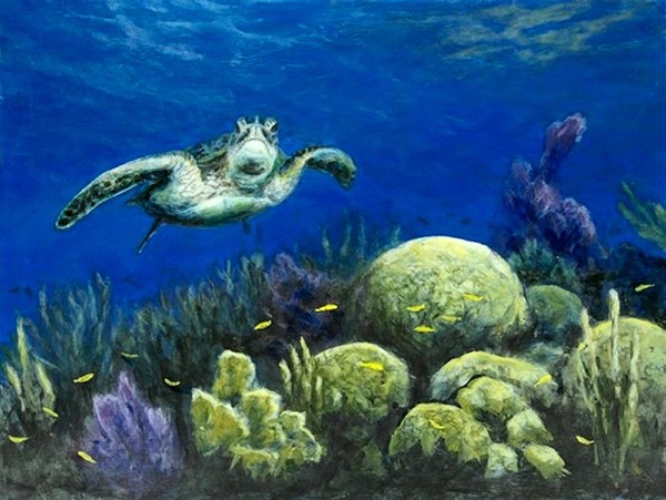 Tortuga Florida keys