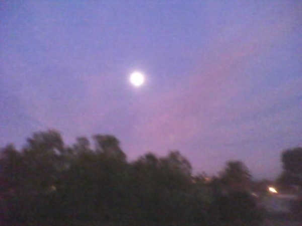 Last Night's San Diego Moon 11-11-2008