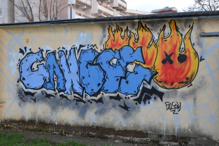 DSC 0107