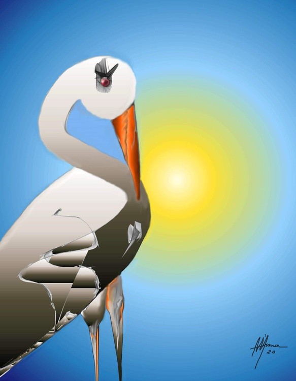 PELICAN IN  MY BACKYARD