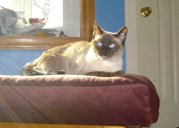 Takin in some rays.