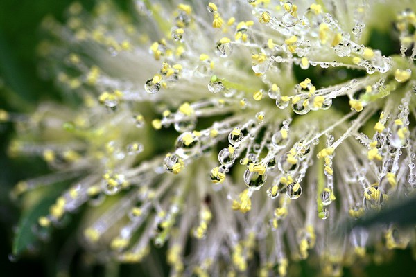 After the Rain III