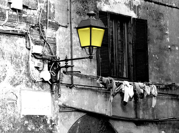 Vivid yellow against stark reality