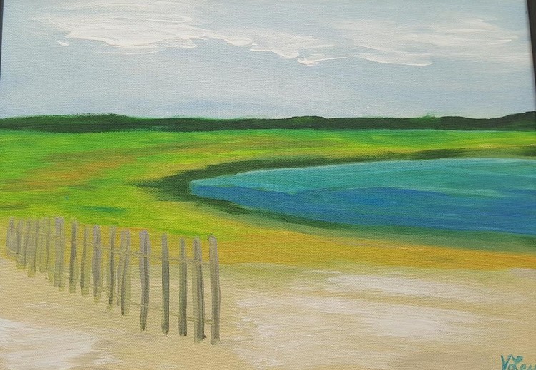 Cape Cod Marsh