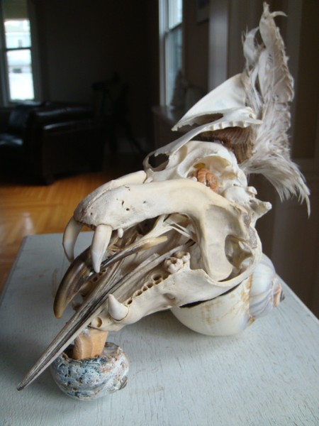 Wolcott Exhibit '09