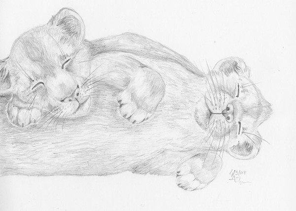 Sleeping Cubs