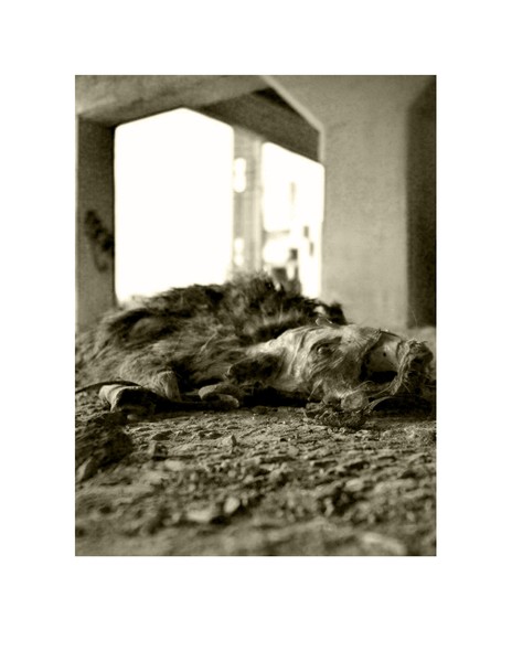 dead-time