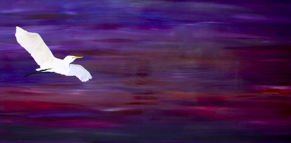 Pursuit of Dreams