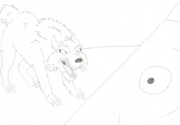 Wolf Transforms