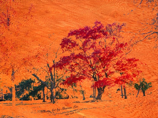 Magic tree 3