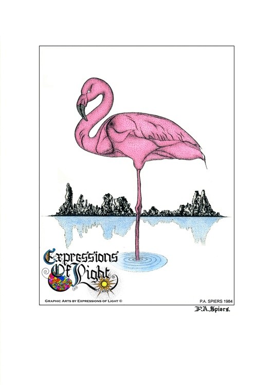 ExpoLight-Graphic-Arts-Flamingo-1984-0001 (Pen-&-Ink-Coloured-SP)