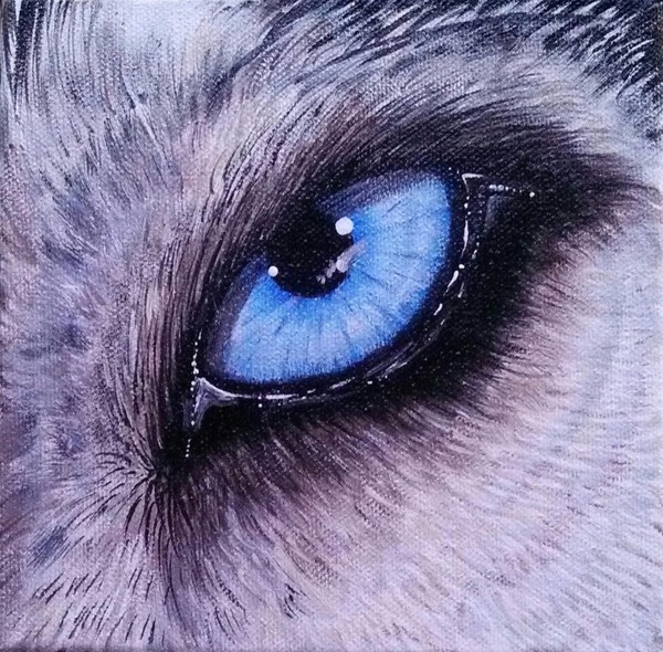 Eye Of The Wolf 3