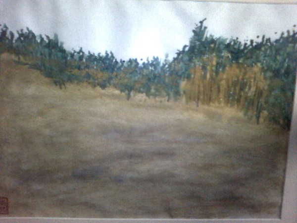 desert No.5
