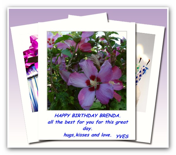 happy birthday brenda.