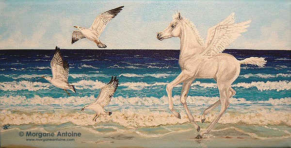Chasing the Birds