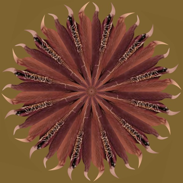 KALEIDOSCOPE HOMAGE TO THE EARTH MOTHER