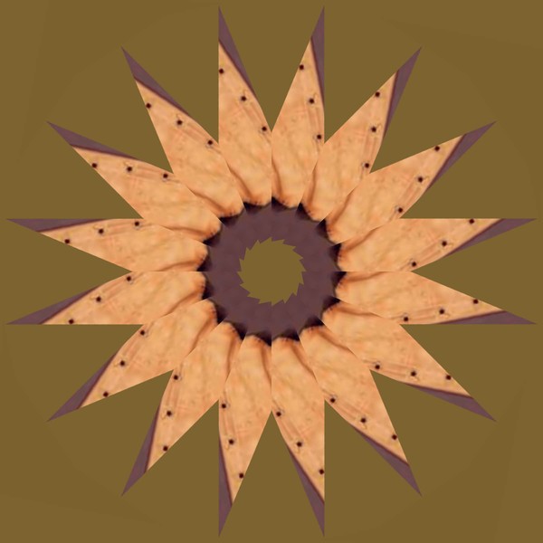 KALEIDOSCOPE EARTHY STAR 8