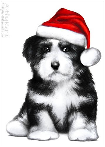 Happy Holidays!