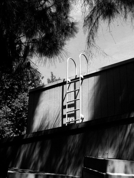 Ladder