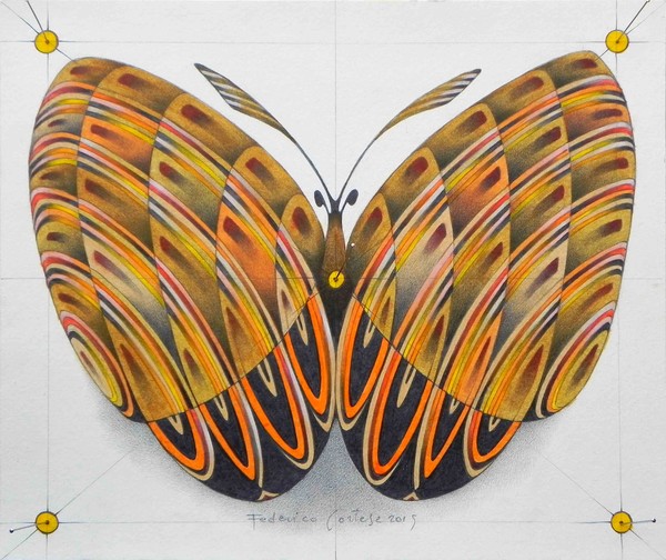 butterfly