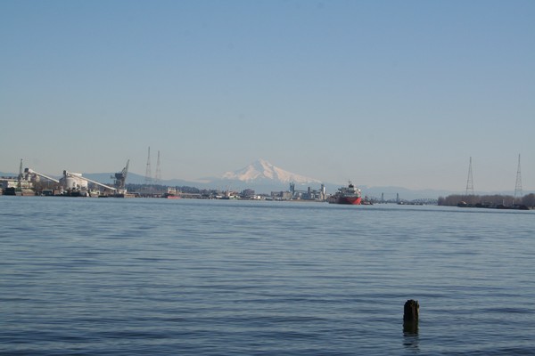 Picture_036