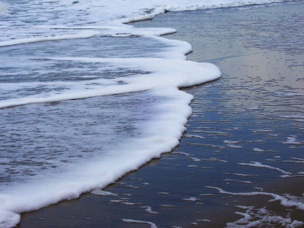 Shore Line