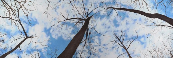 Look Up