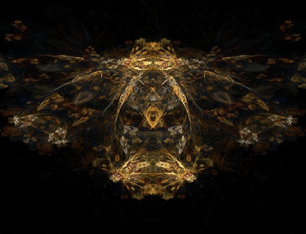 moth