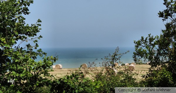 field by the sea