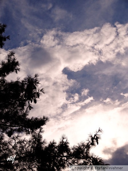 Yesterday sky