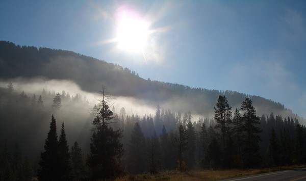 sunkissed mist