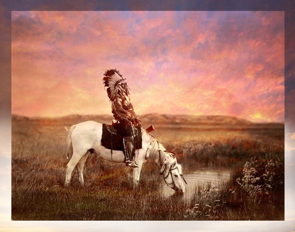 Horse Drink First
