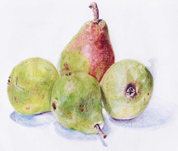 pear