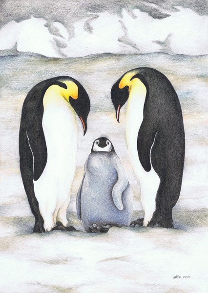 Penguin family - commission