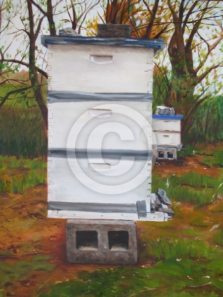 Fall Bee Boxes