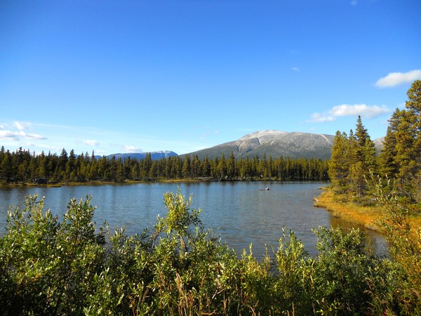 Alaska pics 3