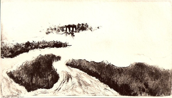 Lowcountry Wetlands