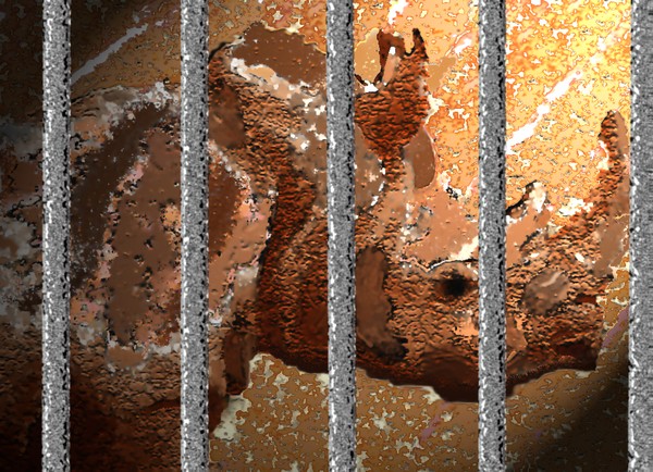 Captive Rino