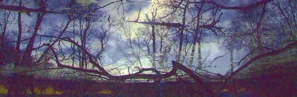 Black sun