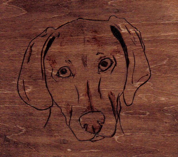 Sascha-Wood Burning