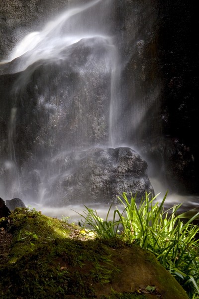 Roughting Linn