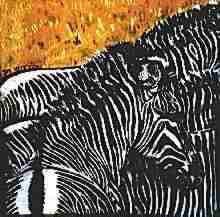 Grevy Zebras