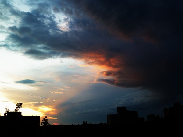 shrimp in the clouds